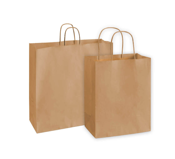 Paper Bag With handle